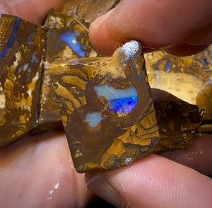 1017cts - 5x Queensland Boulder Rough Opal Parcel