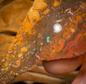 154cts - Tribal Queensland Boulder Opal Rough Piece
