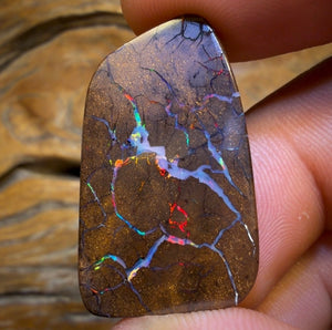 35.6cts - Queensland Boulder Seam Opal. Red Multicolours!
