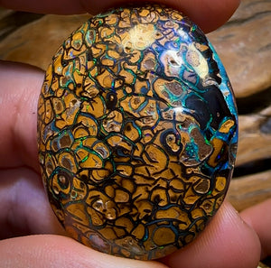 258.1cts - “Crazy Eyes” Top Tribal Yowah Nut Opal Pair. Double Sided