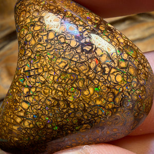 Bargain big boy Card ! 125.3cts - Massive Top Tan Tight Tribal Queensland Boulder Opal from Yowah