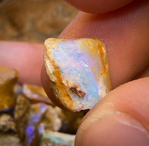 215cts - 25x Opalised Wood/Vegetation Fossil Rough Parcel from Yowah