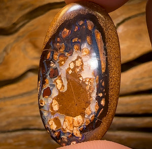 31.7cts - Yowah Nut Kernel Opal. Australian Boulder Opal