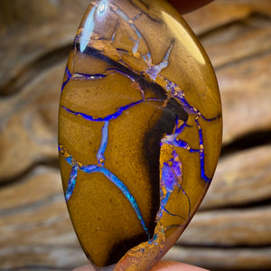 HDW 21.1cts - Tribal Queensland Boulder Opal. Australian Opal