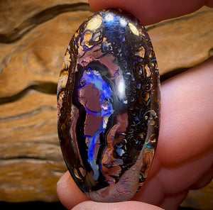 62.6cts - Koroit Nut Kernel Opal with Tribal Pattern Combination, Double Sided