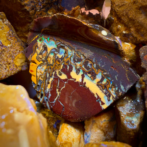 🔒439.5cts - 25x Opalised Wood/Vegetation Fossil Rough Parcel from Yowah