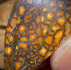 38cts - ‘Green Honey’ Tribal Queensland Boulder Opal - Opal Whisperers