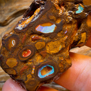 HDW 285.9cts - Yowah Nut Conglomerate Rough Piece. Australian Boulder Opal