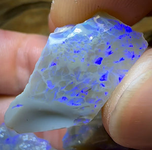 58.5cts - 4x Lightning Ridge Opal Rough Parcel