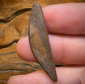 16.3cts - Queensland Boulder Seam Opal. Australian Opal. Awesome Shape - Opal Whisperers