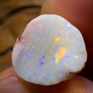 21.8cts - Opalised Belemnite Geological Specimen from South Australia