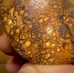 85.1cts - Large Tan Tribal Yowah Nut Opal