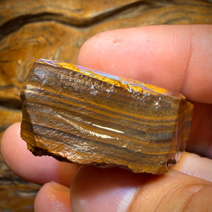 TGIF 237.7cts - Tribal Yowah Nut Opal Rough Preform Rub