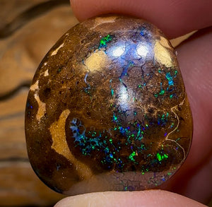 57.6cts - Bubble Band Opal Specimen from Winton