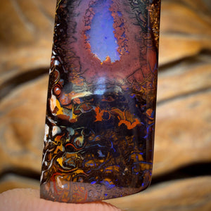 27.5cts - Tribal Koroit Nut Australian Opal. Crystal Centre