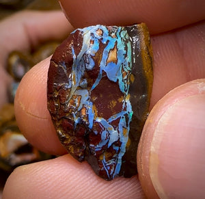 261.8g - 29x Yowah Nut Rough Pieces. Australian Opal With Kernel Crystal Centres. Less than $1/ct - Opal Whisperers