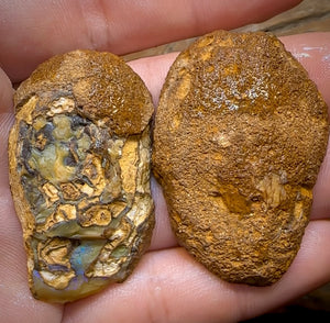 136.3cts - Yowah Nut Rough Specimen Pair. Australian Boulder Opal - Opal Whisperers