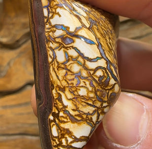 220cts - Rare White Tribal Yowah Nut Opal Specimen Polished - Opal Whisperers