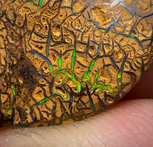 78.5cts - Intricate Tribal Pattern Yowah Nut Opal Pair - Opal Whisperers