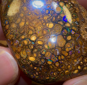 322.1cts - Rare Polished Tribal Yowah Nut Opal Geological Specimen with Gypsum