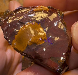 5x Queensland Boulder Opal Cutting Rough. Bulk Listing