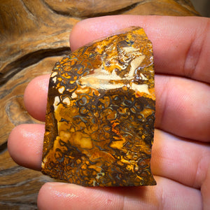 🔨 AUCTION 🔨 257.2cts - Tribal Yowah Nut Picture Stone Opal Rough Piece