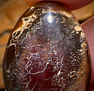 🔨 AUCTION 🔨 No Reserve 30.9cts - Tribal Australian Boulder Opal from Koroit