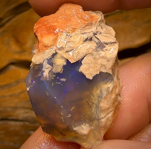 71.5cts - Rare Opalised Geological Specimen from Lightning Ridge