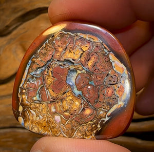 Auction Fall-Through = Your Gain! 🔥 Now More than 50% Off RRP 🚨 68.5cts - Top Yowah Nut Tribal Opal