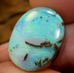 13.5cts - “The Green Planet” Queensland Boulder Opal Picture Stone from Winton - Opal Whisperers