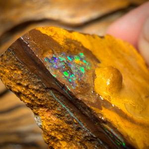 277.4cts - “Magic Awaits” Yowah Seem Uncover the Opal Rough Piece