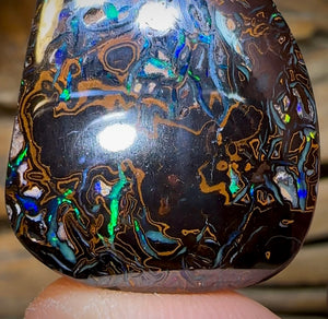 79.2cts - Top Tribal Koroit Black Nut Opal - Opal Whisperers