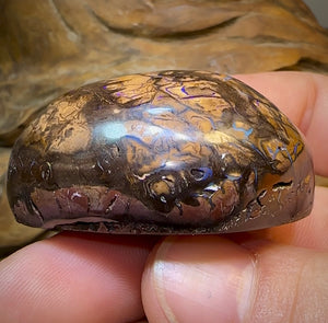 349.7cts - Yowah Nut Opal Polished Specimen. Tribal Pattern - Opal Whisperers