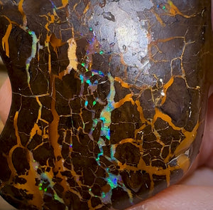 (Template) 226.6cts - Australian Boulder Opal Rub. Bubble Band - Opal Whisperers