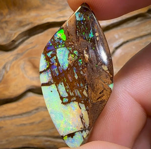 (Template) 24.1cts - Top Australian Boulder Wood Fossil Opal. Rare Cathedral Pattern - Opal Whisperers