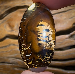 51.1cts - Queensland Boulder Opal BARGAIN PICTURE STONE