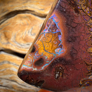 375cts - Huge Tribal Yowah Nut Opal Specimen. Double Sided!