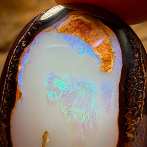 38.2cts - Yowah Nut Crysyal Centre Opal. Australian Boulder Opal