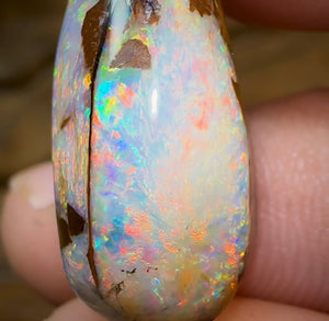 17.5cts - Yowah Nut Kernel Opal, Christmas Beetle - Opal Whisperers