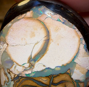 60.2cts - Yowah Nut “Porcelain Swan” White / Tan Tribal Opal. Australian Opal - Opal Whisperers