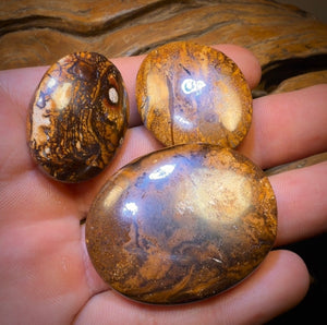 228.1cts - 3x Queensland Boulder Opal’s. Wholesale Dealers Parcel $1/ct