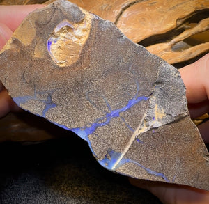 916 g - ÉNORME spécimen d'opale brute de filon de rocher du Queensland