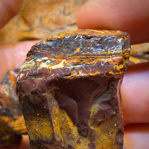 923cts - 11x Yowah Nut Rough Opal Parcel. Australian Boulder Opal