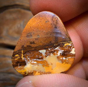 19.8cts - Yowah Nut Opal. Australian Opal