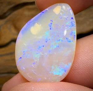 21.2cts - Lightning Ridge Crystal Opal - Opal Whisperers