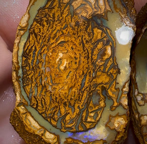 136.3cts - Yowah Nut Rough Specimen Pair. Australian Boulder Opal - Opal Whisperers