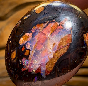 34.5cts - Yowah Nut Kernel Opal. Australian Boulder Opal