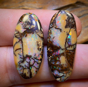 33.1cts - Cathedral AKA Stained Glass Window Australian Boulder Wood Fossil Opal Pair