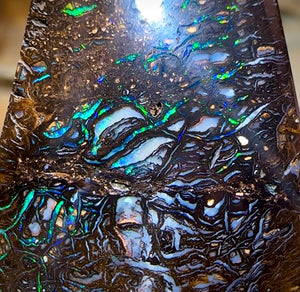 74.2cts - Black Tribal Yowah Nut Opal - Opal Whisperers