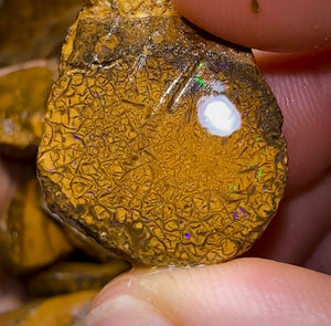 261.1g - 27x Yowah Nut Rough Opal Parcel. Queensland Boulder Opal 30c/ct Bargain - Opal Whisperers
